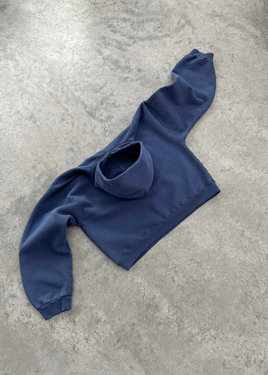 Boxy Vintage Wings Heavy hoodie